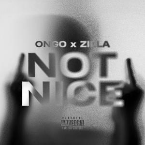 Not Nice (feat. Zilla) (Explicit)