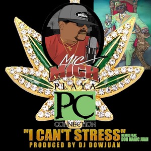 I Can't Stress (Remix) [feat. Don Magic Juan]