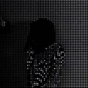 What happened bird (feat. Talinwya) (Explicit)