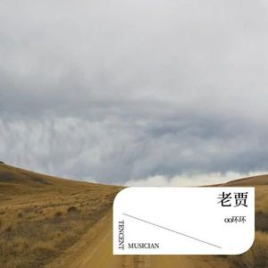 老贾 (伴奏)