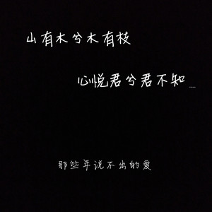 富士山下 (爱情转移) (钢琴、小提琴纯音乐版)