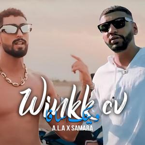 Winkk Cv (Explicit)