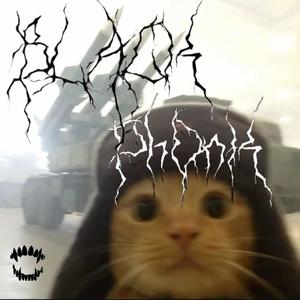 HARD PHONK BEAT | BLACKPHONK