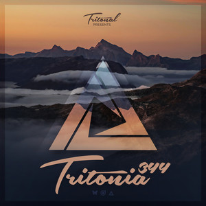 Was It You(Tritonia 344) (Taylor Torrence Remix)