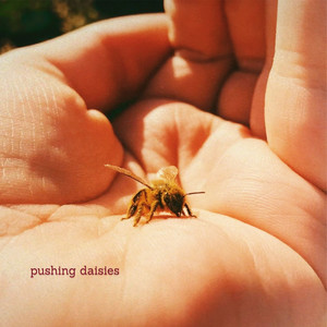 Pushing Daisies (Explicit)