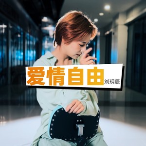爱情自由 (伴奏)