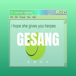 乐心诺 - 寂寞烟火 (DJ咕咚版)