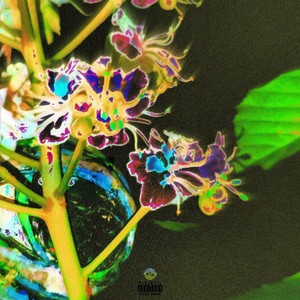ForestInICE (Explicit)