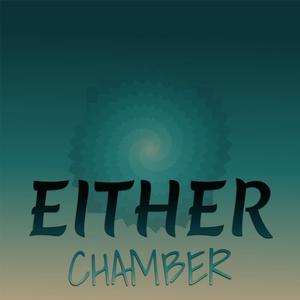 Either Chamber