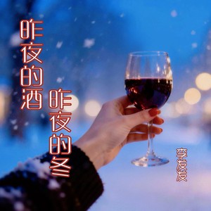 昨夜的酒昨夜的冬 (DJ彭锐版)封面