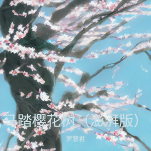 马踏樱花树-罗慧君
