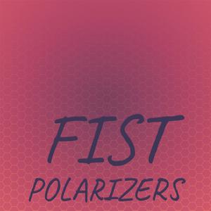 Fist Polarizers