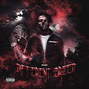 Different Breed (Explicit)