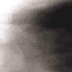 ג'ינג'יס חאן