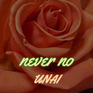 Never No (Explicit)