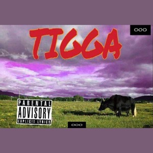 TIGGA