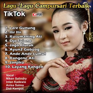 Lagu Lagu Campursari Terbaik TIKTOK