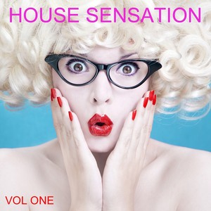 House Sensation, Vol. 1 (Selected By Paolo Madzone Zampetti)