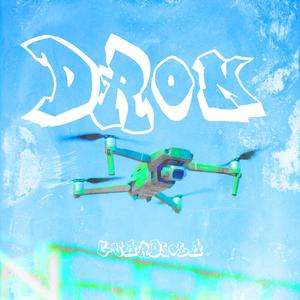 DRON (Explicit)