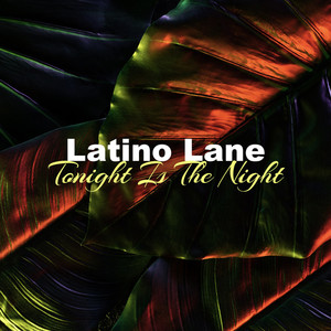 Tonight Is The Night