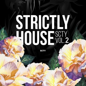 Strictly House SCTY, Vol. 2 (Explicit)