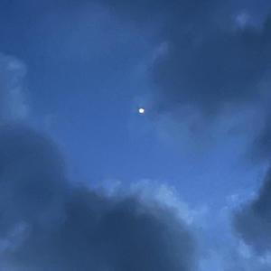 ill miss you (feat. gisabella)