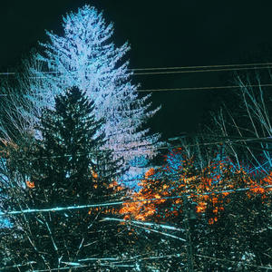 SEVEN DAYS (Explicit)