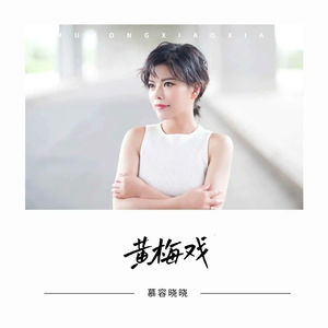 黄梅戏 (DJ越鑫版)