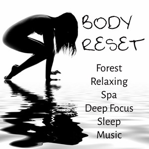 Body Reset - Forest Relaxing Spa Deep Focus Sleep Music for Mindfulness Meditation Brainwave Generator Chakra Healing