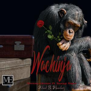Wachinja (feat. Young tiger) (Explicit)