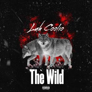 The Wild (Explicit)