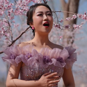 故乡的桃花 (伴奏)