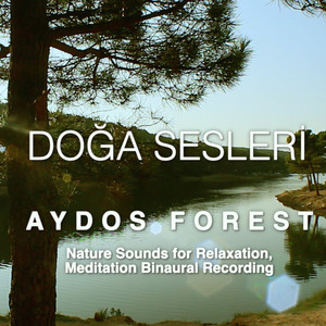 Aydos Forest - Nature Sounds, Relaxation, Meditation Binaural Recording