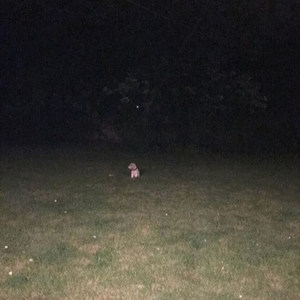 louies lullaby (rest in peace)