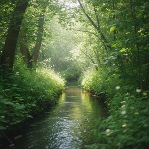 企鹅企企 - 春涧呢喃 - Arabic