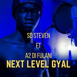 NEXT LEVEL GYAL (feat. A2 Di Fulani)