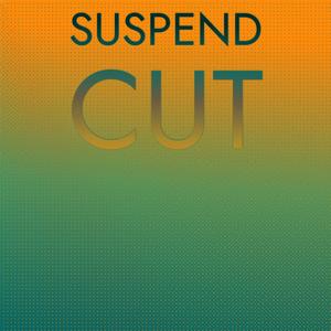 Suspend Cut