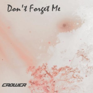 Don't Forget Me