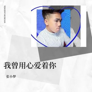 我曾用心爱着你