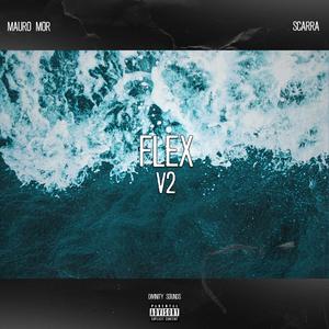 Flex V2(feat. scarra) (Explicit)