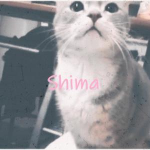 Shima (feat. パの)