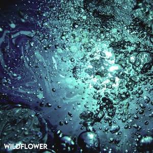 Wildflower