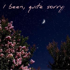 I been, quite sorry (feat. Iluvm3lo)