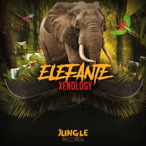 Elefante