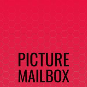 Picture Mailbox