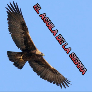 El Aguila De La Sierra