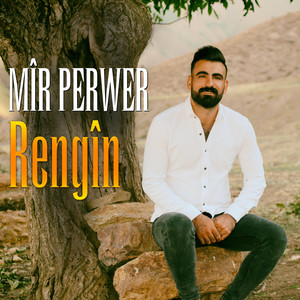 Rengîn