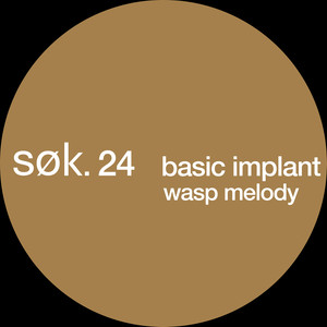 Wasp Melody