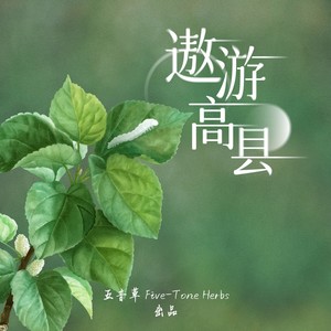 遨游高县 (伴奏)