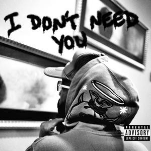 I Don't Need You (Explicit)